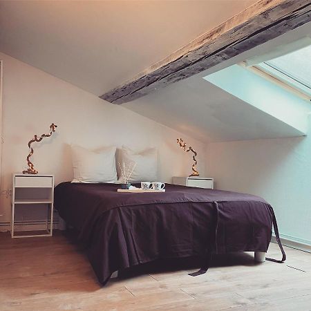 Superbe Duplex En Plein Coeur De Nancy נאנסי מראה חיצוני תמונה